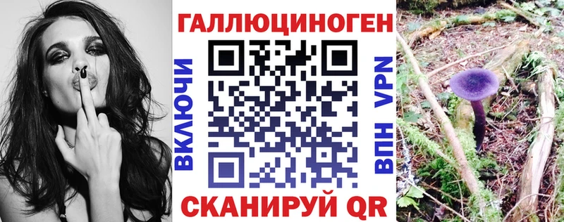 Псилоцибиновые грибы Cubensis  Наволоки 