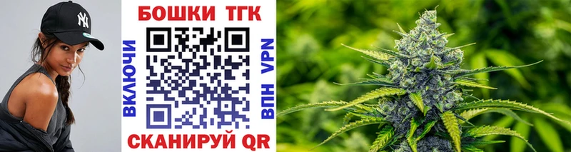 Бошки Шишки планчик Наволоки